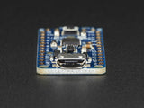 Adafruit Pro Trinket - 5v